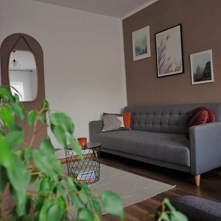 Cozy Apart Toplita Bagian luar foto