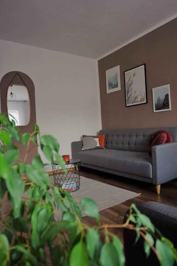 Cozy Apart Toplita Bagian luar foto