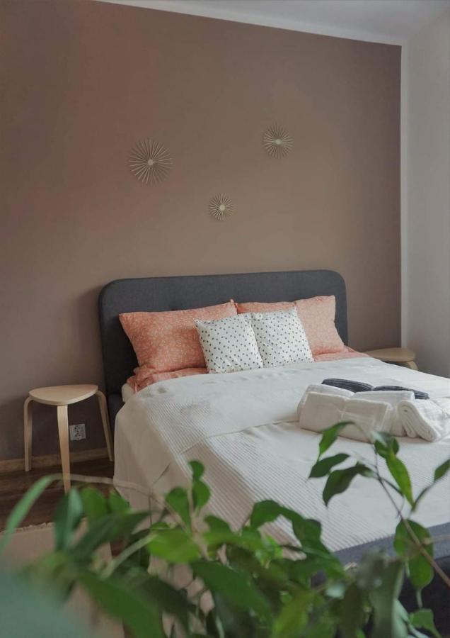 Cozy Apart Toplita Bagian luar foto